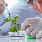 BioTech