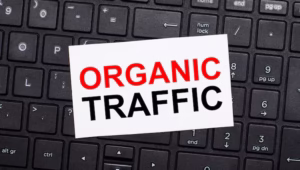 “How to Drive Organic Traffic Without Paid Ads”